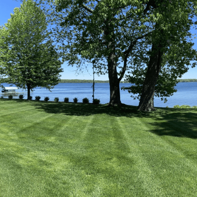 LAWN CLEANUP